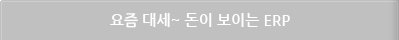 요즘 대세~ 돈이 보이는 ERP