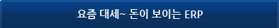 요즘 대세~ 돈이 보이는 ERP