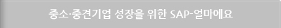 중소·중견기업 성장을 위한 SAP-얼마에요