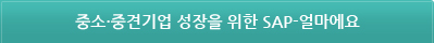 중소·중견기업 성장을 위한 SAP-얼마에요